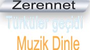 Domain isim sistemi
